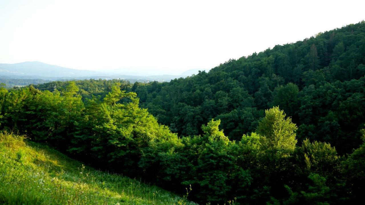 Hillhouse * Novo Mesto